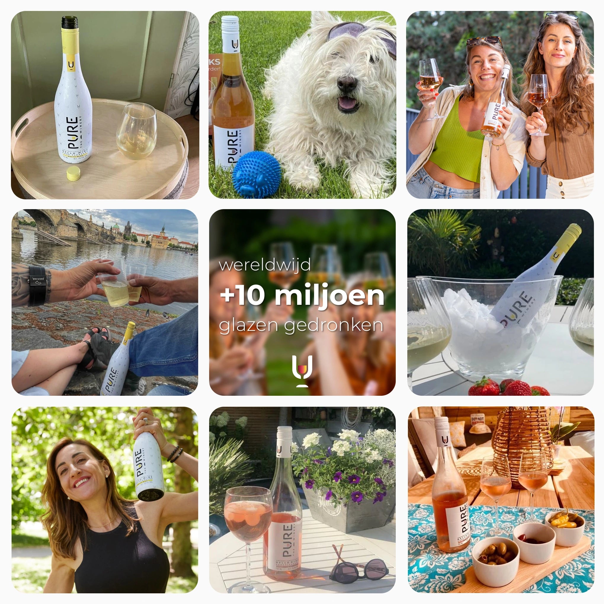 Summer Offer: Bestseller Pack